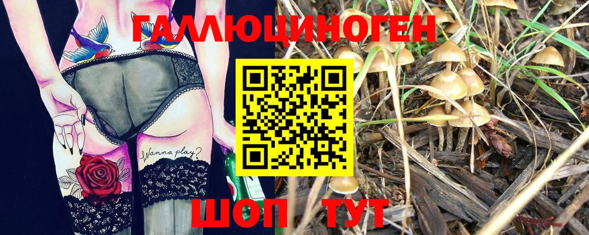Красноперекопск  Псилоцибиновые грибы мухоморы  Галлюциногенные грибы Magic Shrooms  Вход с VPN 
